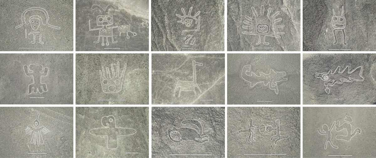 Image Soufce: Fifteen of a total of 303 newly discovered relief-type figurative geoglyphs from the AI-assisted survey. Drone images taken during the field survey that confirmed the geoglyphs as authentic. (PNAS)