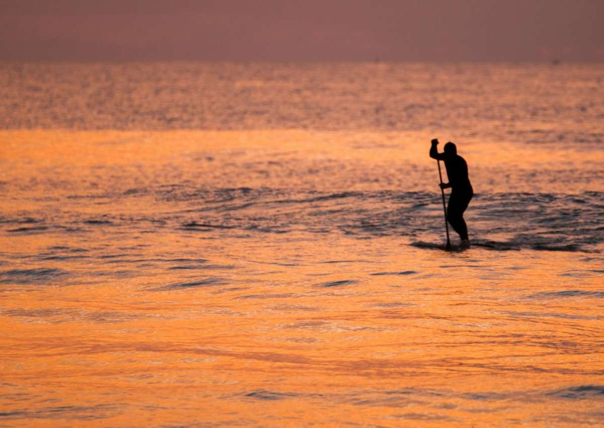 Representative Image Source: Pexels | Master Cowley