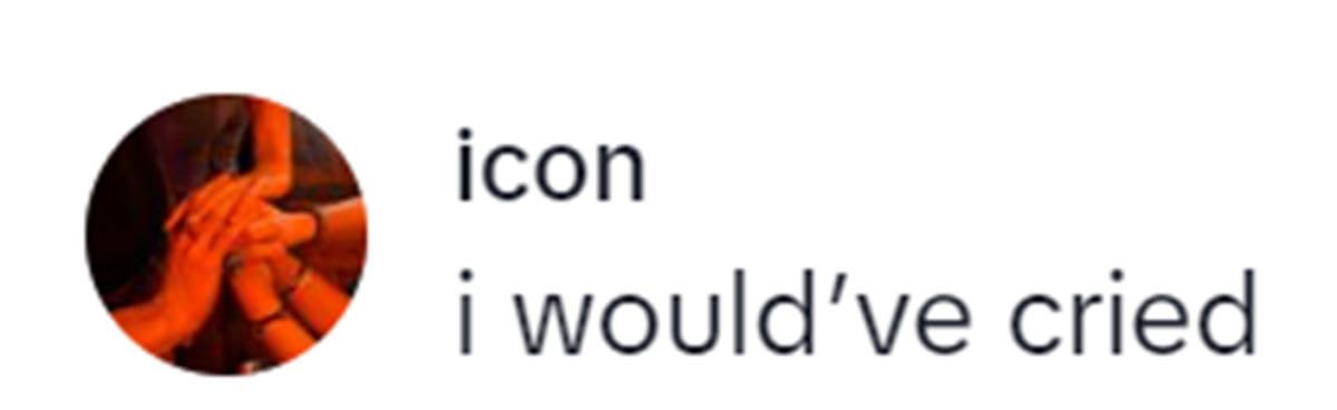 Image Source: TikTok | @idgafsyd