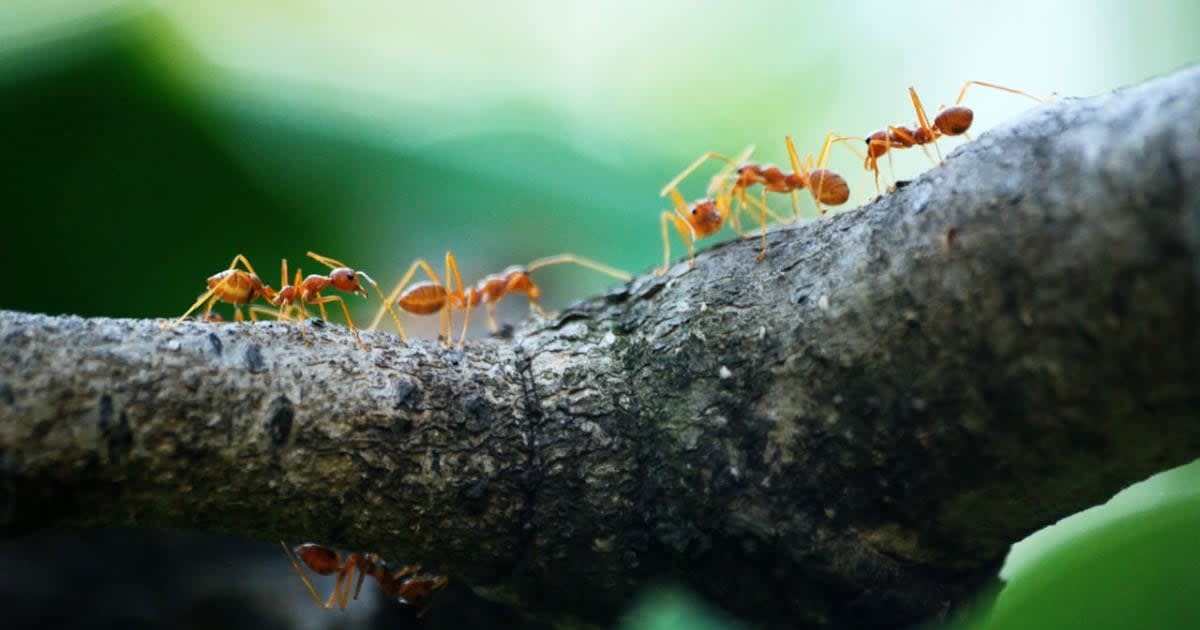 Image Source - Pexels I Photo by Poranimm Athithawatthee