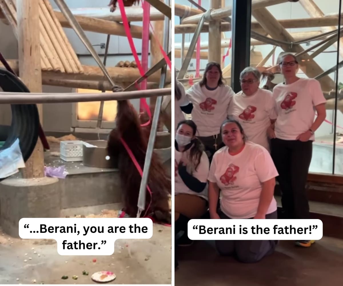 Image Source: Instagram | @denverzoo