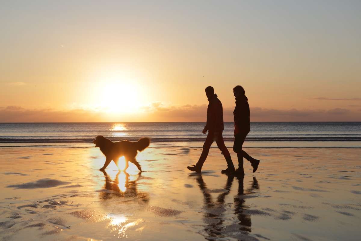 Representative Image Source: Couple walking dog on beach at sunset (Getty Images)