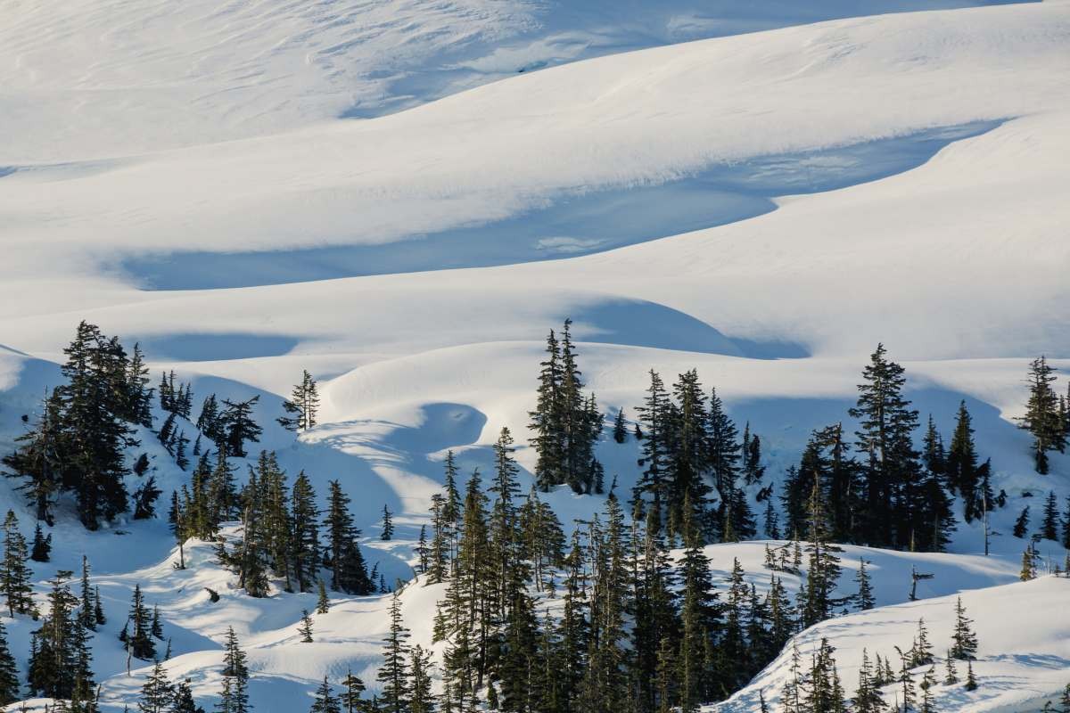 Image Source: Whittier, Alaska, United States of America (Getty Images)