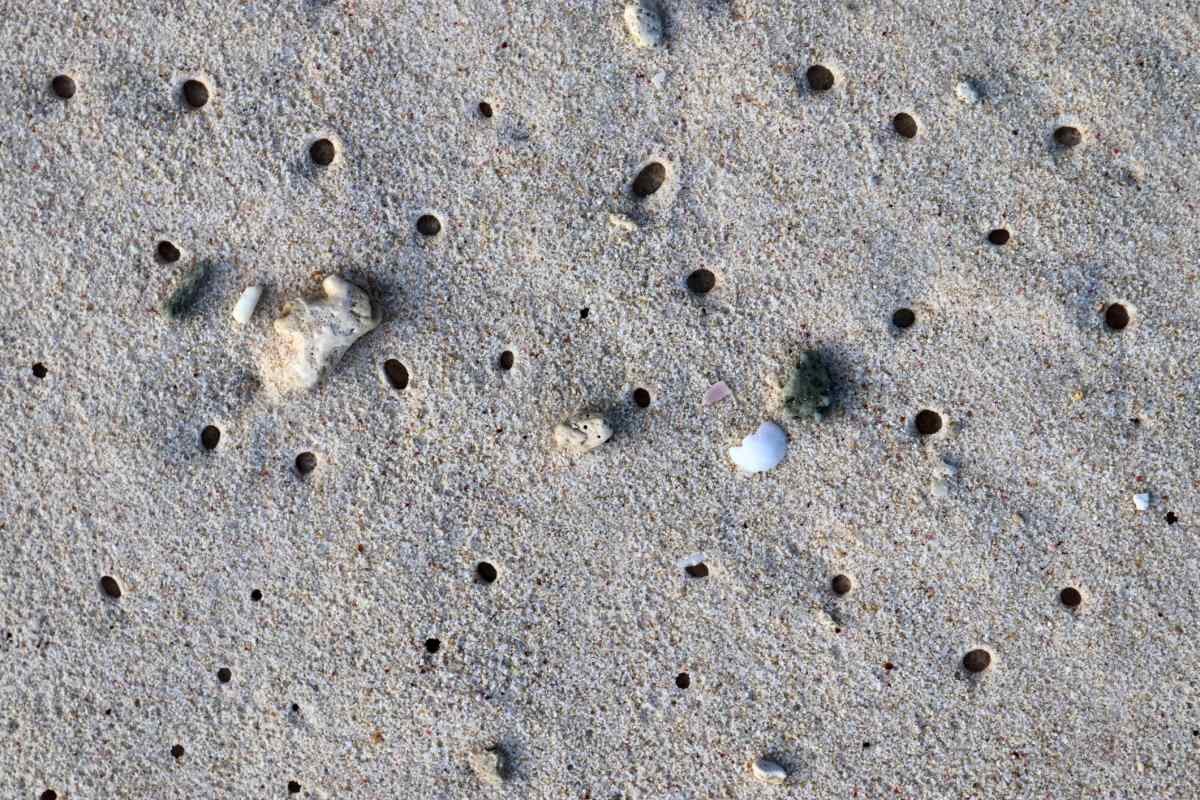 Representative Image Source: Beautiful shots of the white beach sand on the Seychelles paradise island with footprints. (Getty Images)