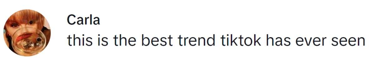 Image Source: TikTok | @cutesntoots