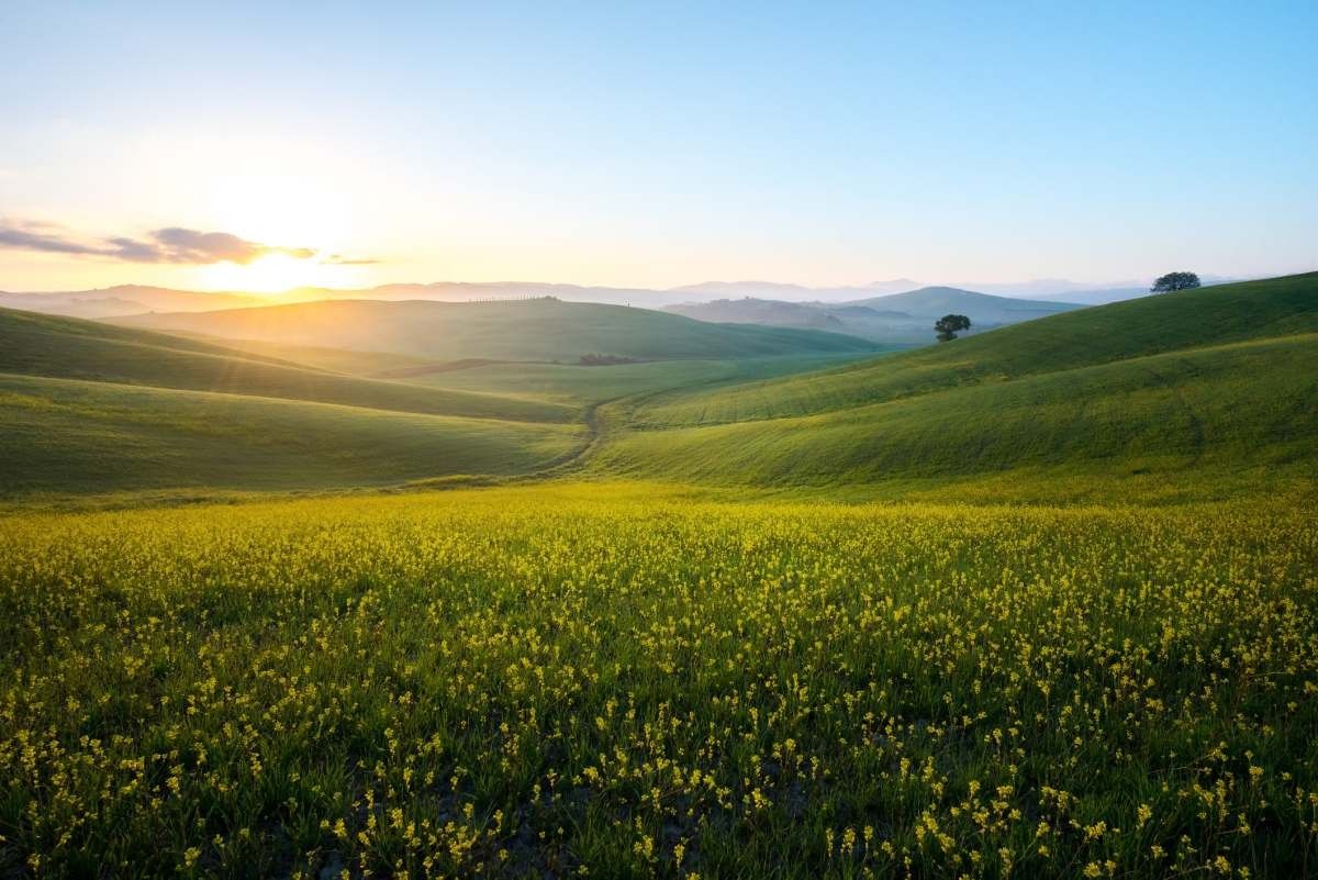 Representative Image Source: Getty/ Photograph by Nattachai Sesaud
