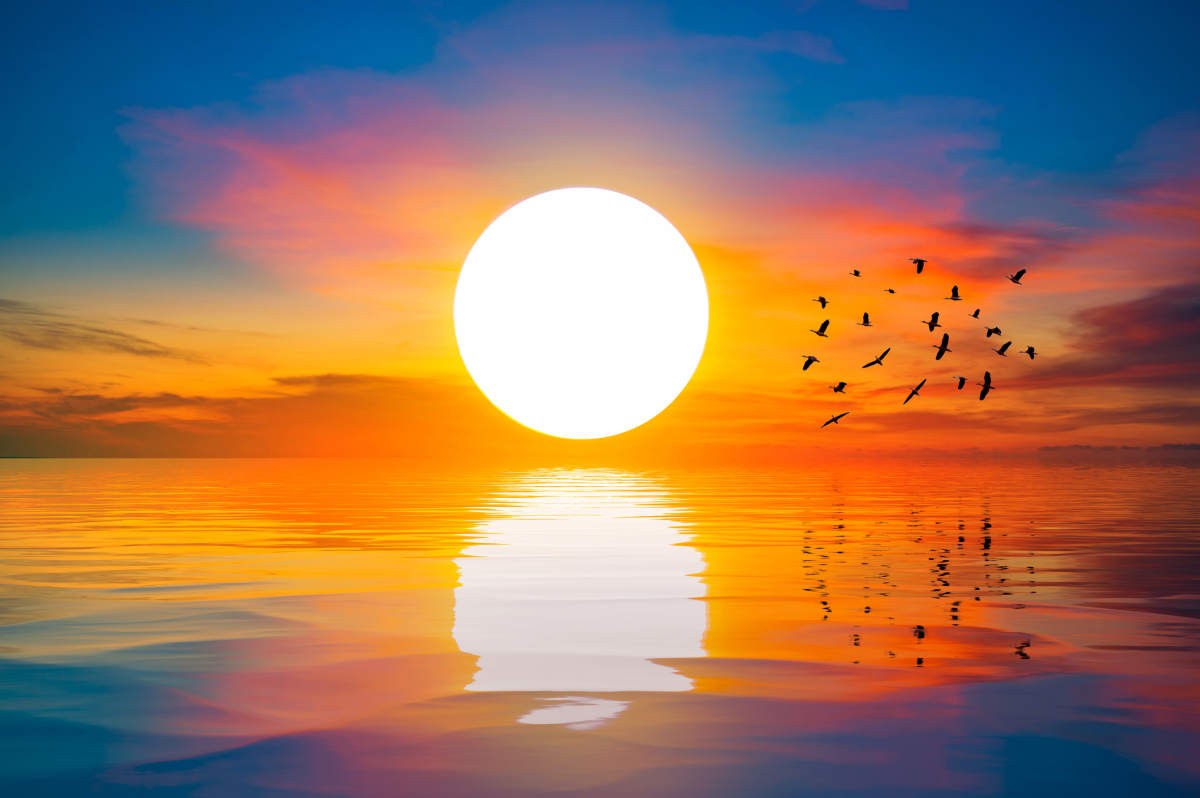 Representative Image Source: The big sun at dawn on the sea with beautiful reflections and flocks of birds in flight. (Getty Images)