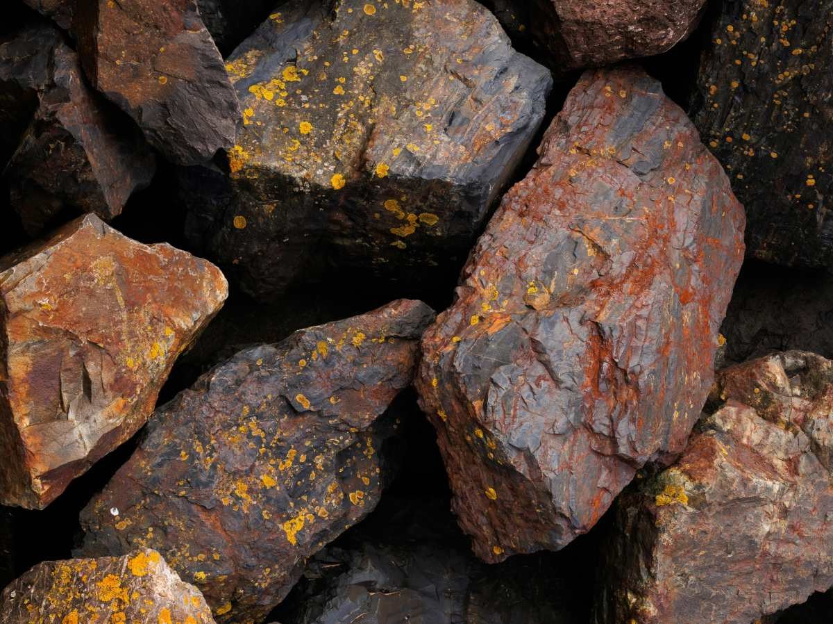 Representative Image Source: Pexels | Ellie Burgin