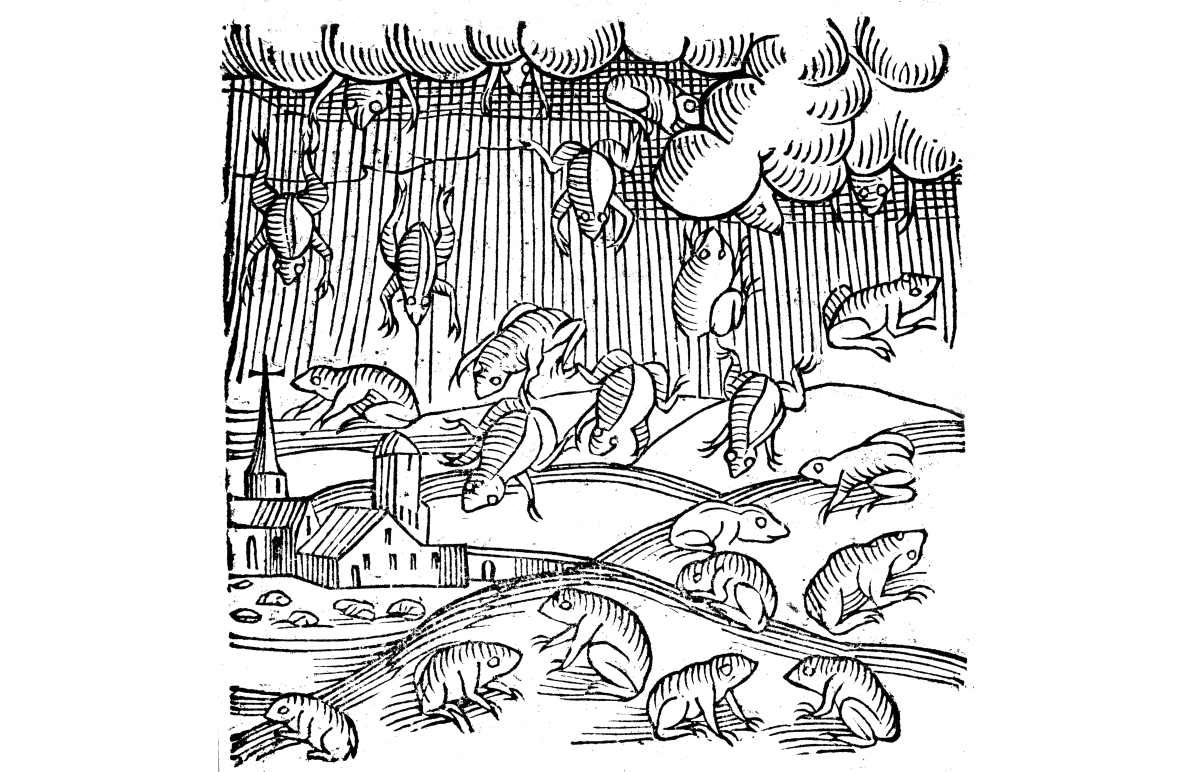 Representative Image Source: Rain of frogs recorded in 1355 (1557). (Basel, 1557). (Photo by Oxford Science Archive/Print Collector/Getty Images)