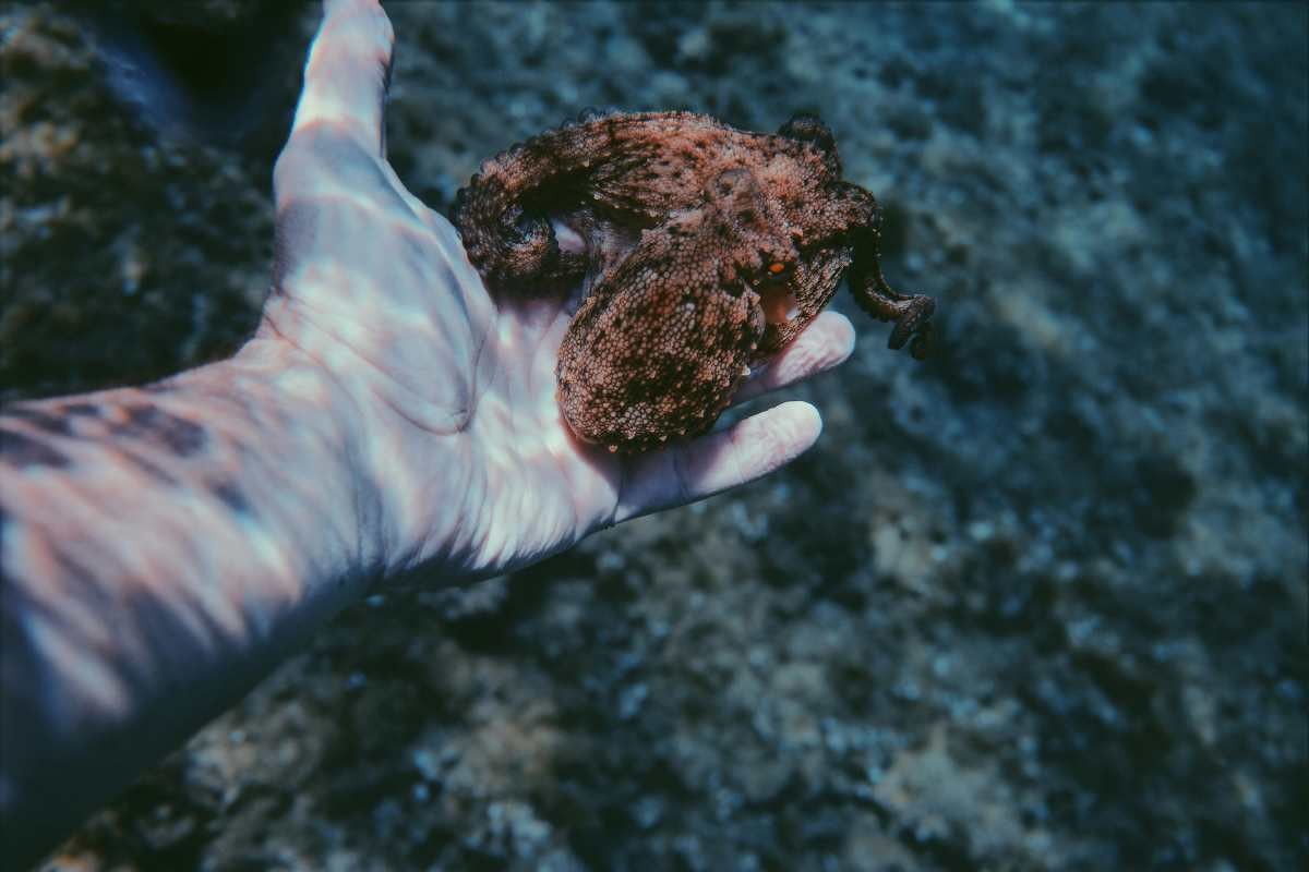 Representative Image Source: Pexels| Maël  BALLAND