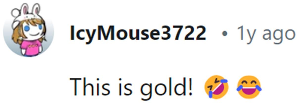 Image Source: Reddit | u/icymouse3722