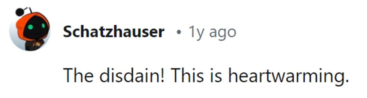 Image Source: Reddit | u/schatzhauser