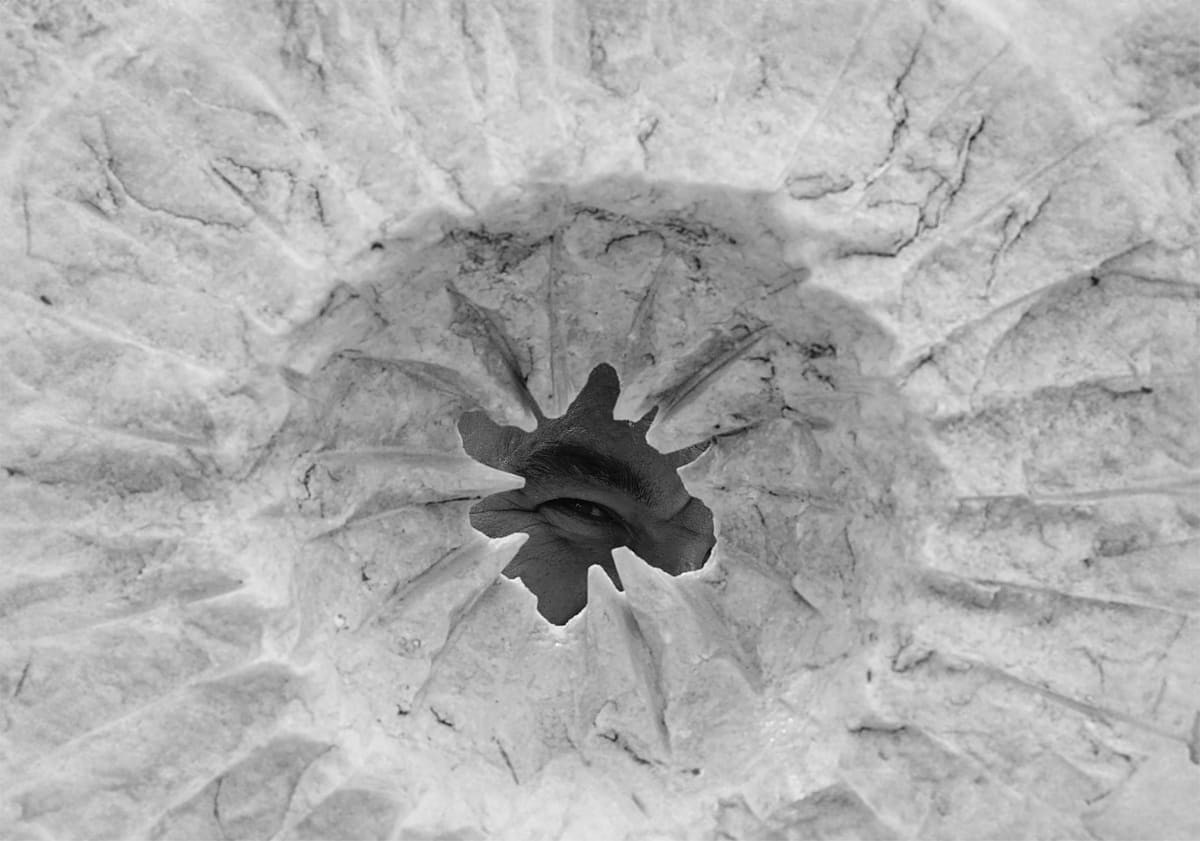 Representative Image Source: Pexels | Doğu Tuncer