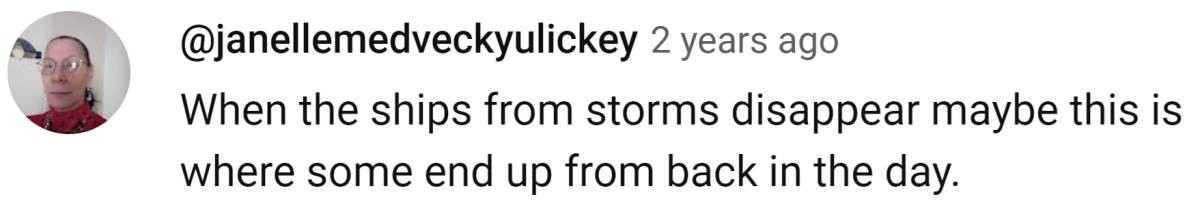 Image Source: YouTube | @janellemedveckyulickey