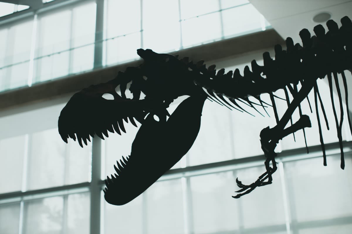 Representative Image Source: Pexels | jonathan cooper