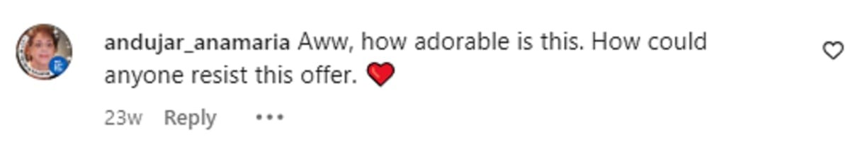 Image Source: Instagram | andujar_anamaria