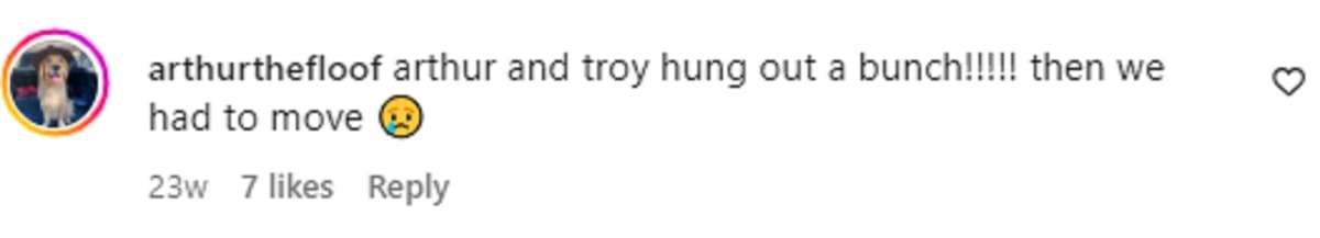 Image Source: Instagram | arthurthefloof