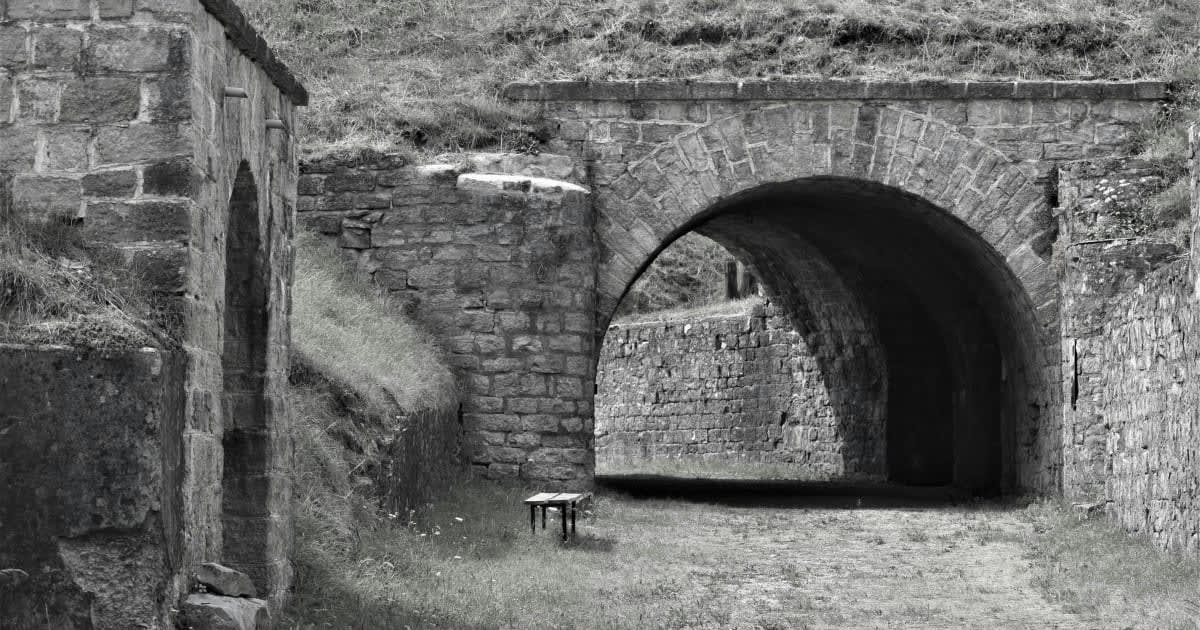 Representative Image Source: Pexels I Photo by Daniele La Rosa Messina