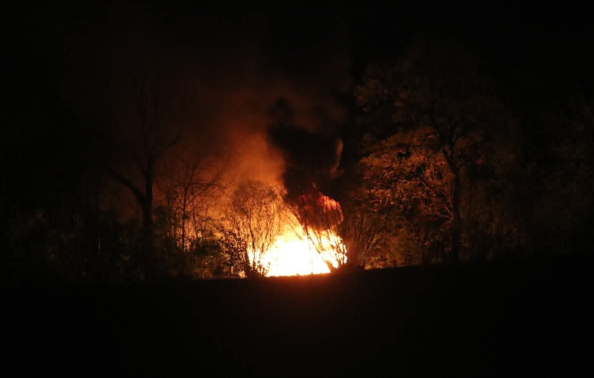 Large fire is burning in the forest at night (Representative Image Source: Getty Images | Bianca Gruensberg)