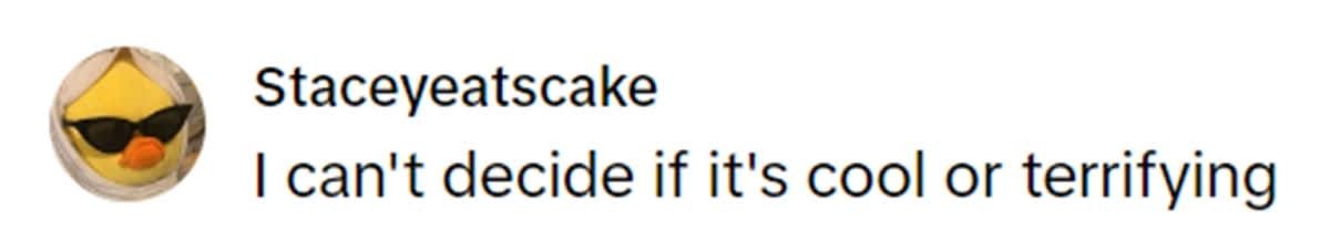 @staceyeatscake (Image Source: TikTok)