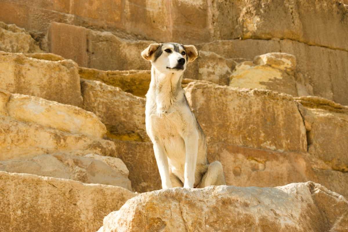 Representative Image Source: Getty Images | Diego Vazquez