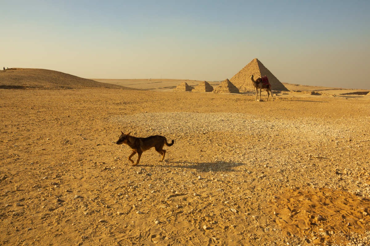 Representative Image Source: Getty Images | Lola L. Falantes