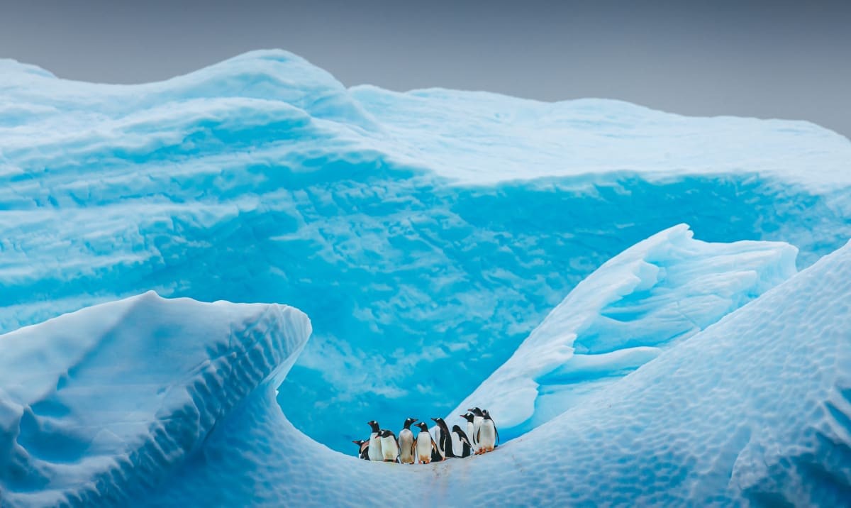 Representative Image Source: Getty Images | David Merron Photography