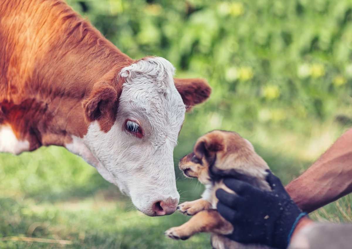 Representative Image Source: Getty Images | Oxygen