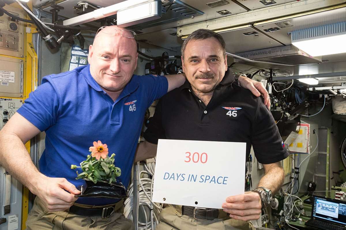 Image Source: One year mission crew members Scott Kelly of NASA (left) and Mikhail Kornienko of Roscosmos (right) celebrated their 300th consecutive day in space on January 21, 2016 in space. (Photo by NASA via Getty Images)