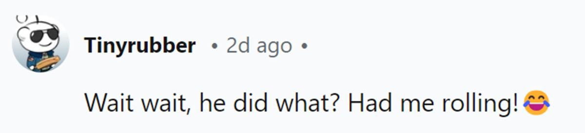 Image Source: Reddit | u/tinyrubber