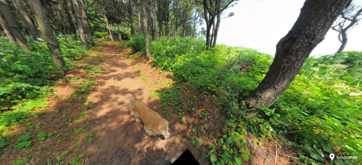 Image Source: Kakao Maps