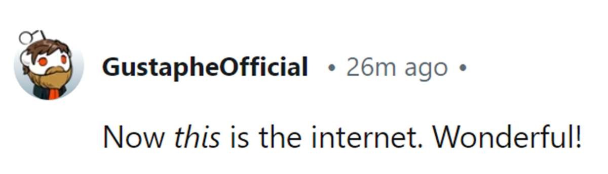 Image Source: Reddit | u/gustapheofficial