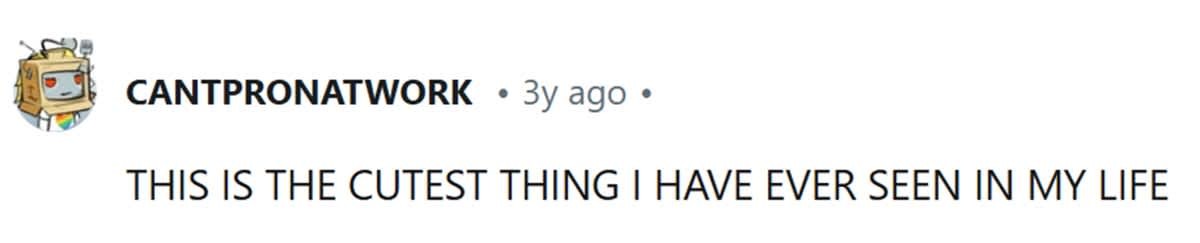 u/cantpronatwork (Image Source: Reddit)