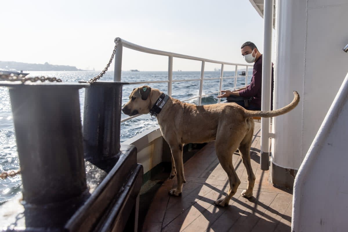 Image Source: Getty Images | Photo by Chris McGrath/Getty Images