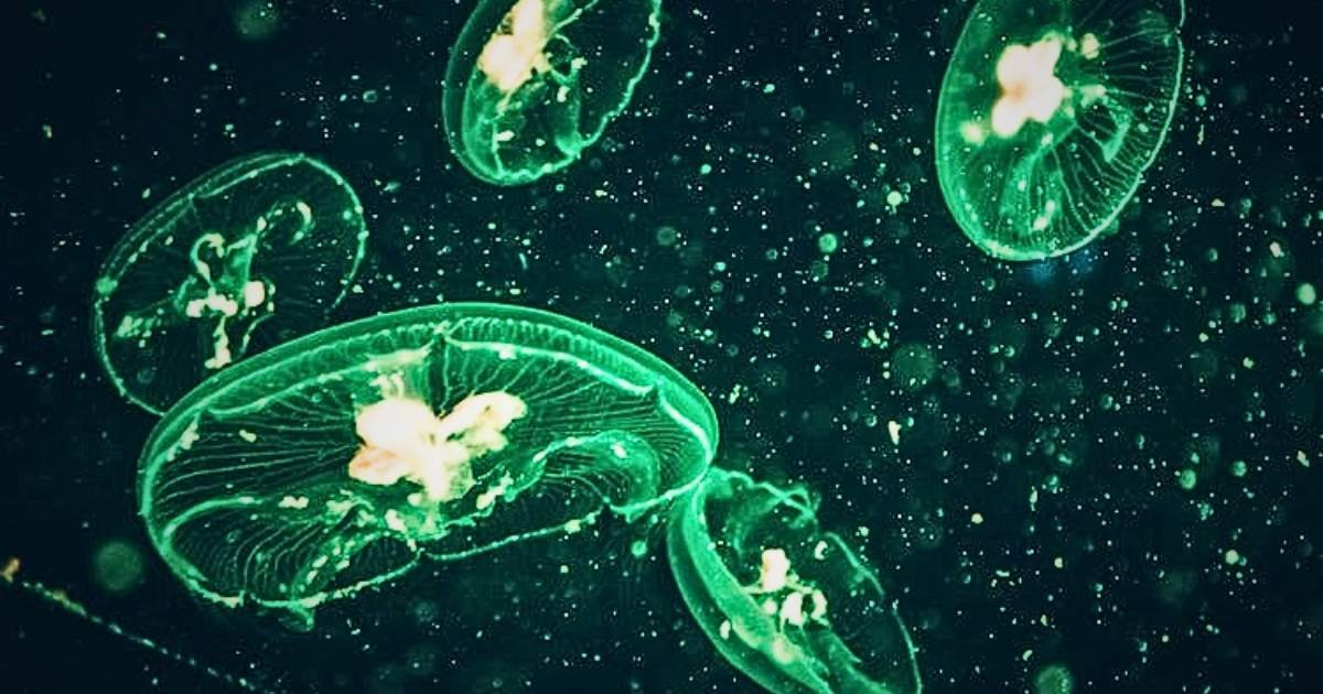 Representative Image Source: Pexels | Leonid Danilov