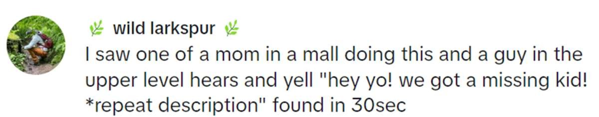 Image Source: TikTok | @wild_larkspur