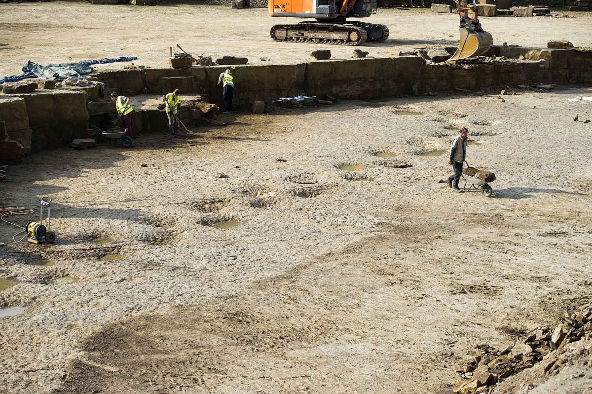 Representative Image Source: Footprints of a long-neck dinosaurs (Diplodocus), found in a quarry in Germany. (Photo by Alexander Koerner/Getty Images)