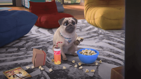 gif of an animated dog surrounded by snacks watching TV