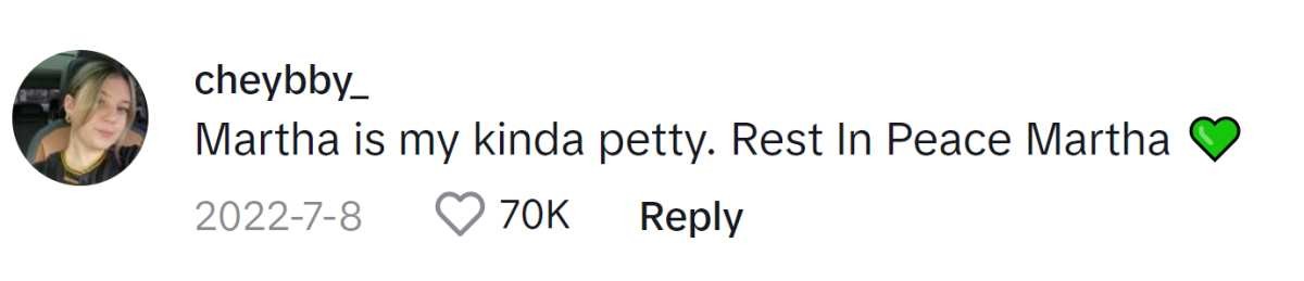 Image Source: TikTok|@cheybby_