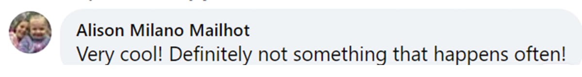 Image Source: Facebook | @alison.milano.56