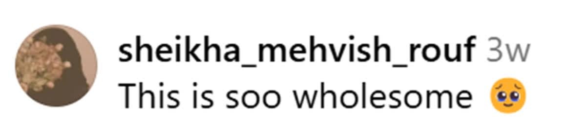 @sheikha_mehvish_rouf (Image Source: Instagram)