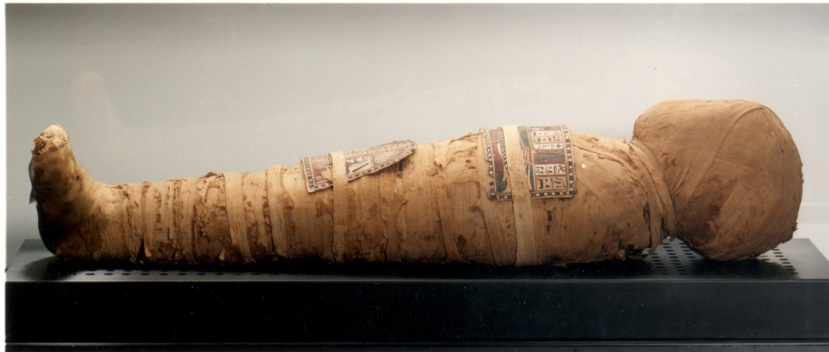 A mummy from a Spanish musuem