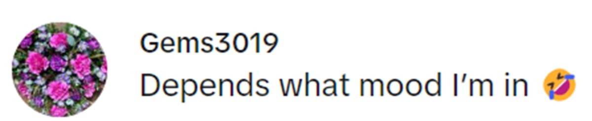 Image Source: TikTok | @gems3019