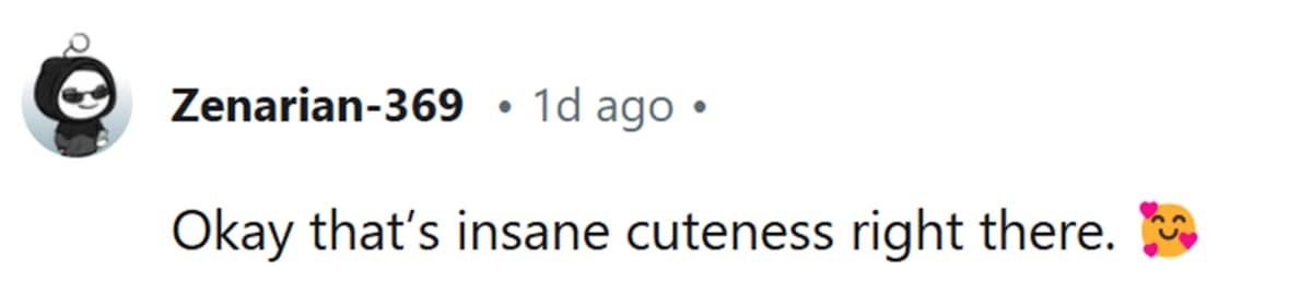 u/zenarian-369 (Image Source: Reddit)