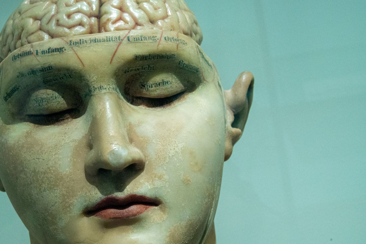 human brain, alzheimers, disease, medical research, alzheimers