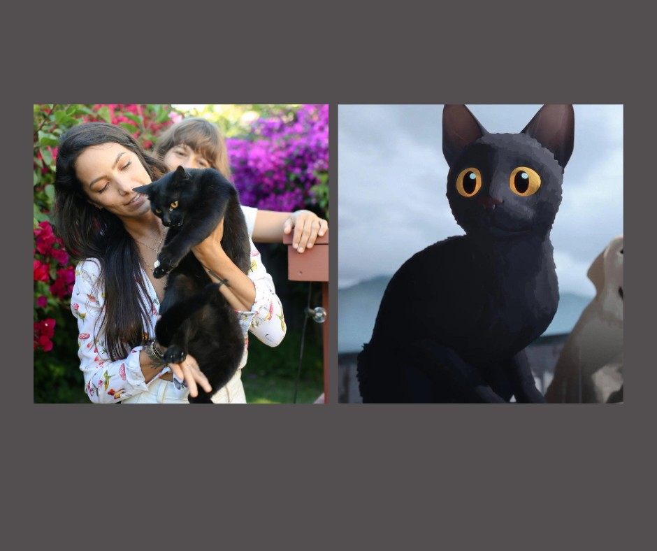 cats, Flow, black cats, brazil, adoption, pets, animal rescue