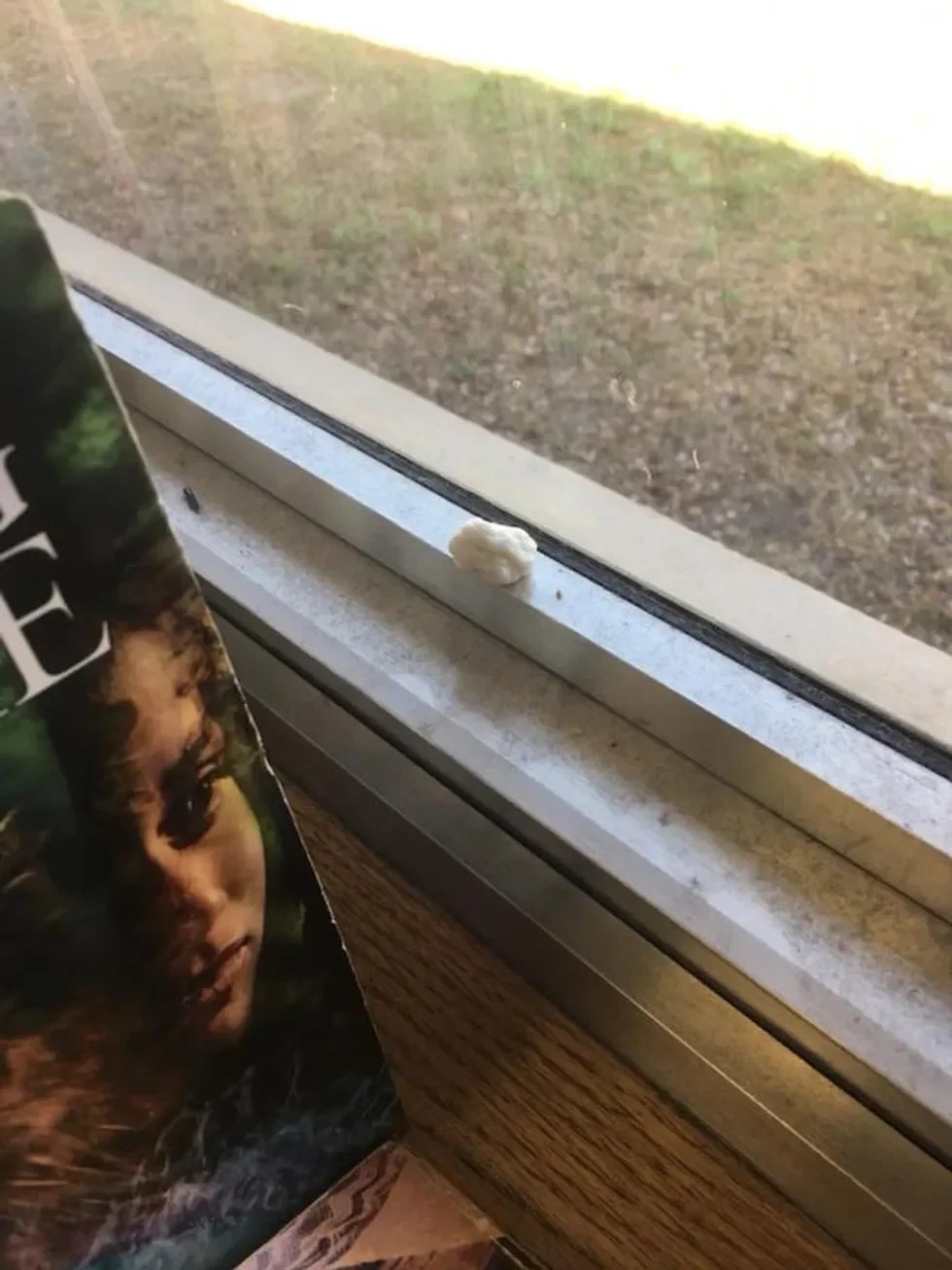 Trash out of the trash bin.