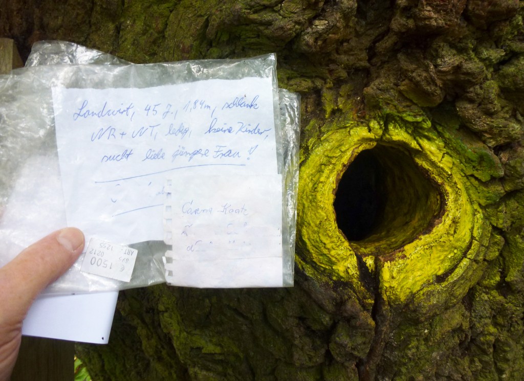 person holding note beside an ancient tree