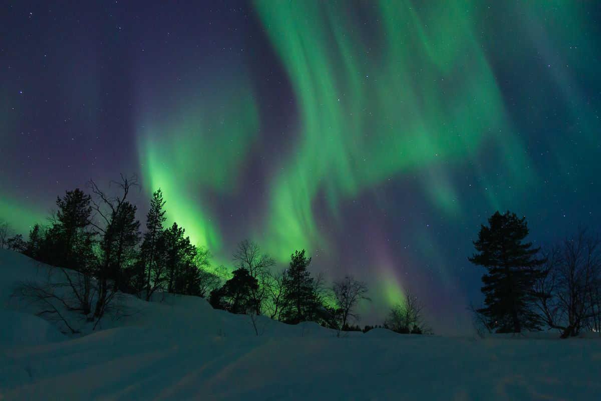 finland, happiness, quality of life, studies, happy