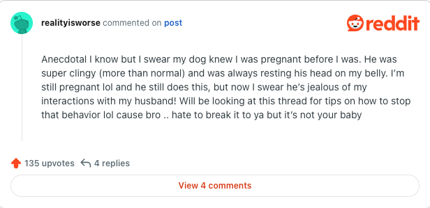 dogs, wife internet mystery, protective pet, strange illness, husband looking for help